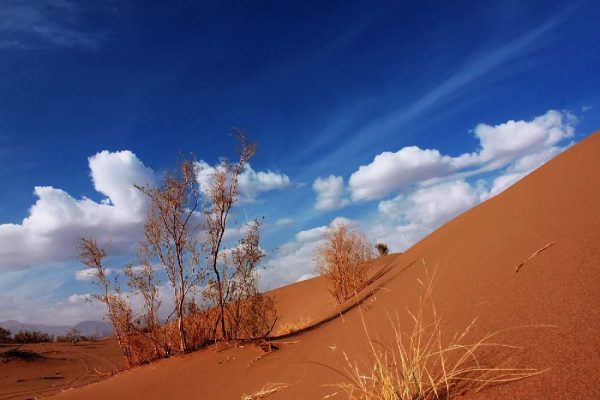 آثار رضا فطرتی 10